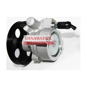 DPSP133 DYNAMATRIX