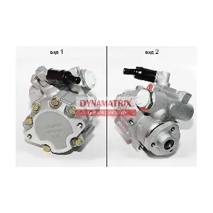 DPSP010 DYNAMATRIX