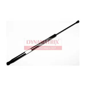 DGS385302 DYNAMATRIX
