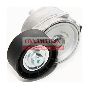DT33036 DYNAMATRIX