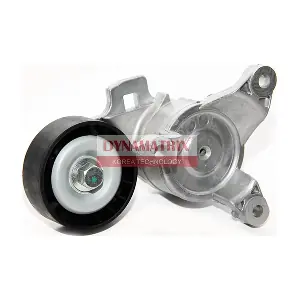 DT33130 DYNAMATRIX