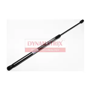 DGS002578 DYNAMATRIX