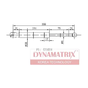 DGS138654 DYNAMATRIX