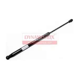 DGS011508 DYNAMATRIX