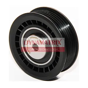 DT31064 DYNAMATRIX