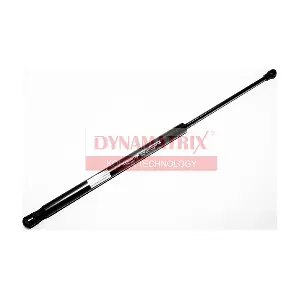 DGS018123 DYNAMATRIX