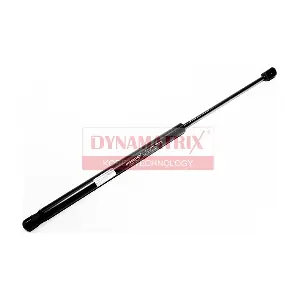DGS020594 DYNAMATRIX