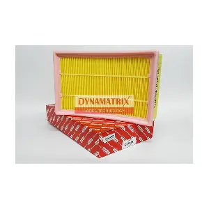 DYNAMATRIX DAF935