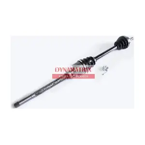 DDS210143 DYNAMATRIX