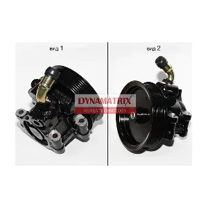 DPSP113 DYNAMATRIX