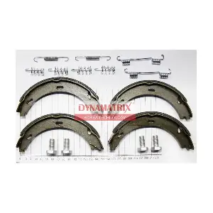 DBS196 DYNAMATRIX