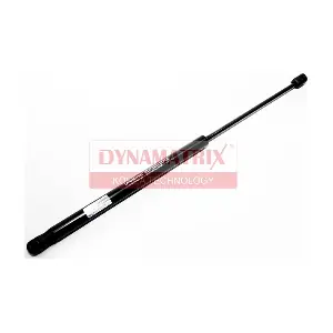 DGS015521 DYNAMATRIX