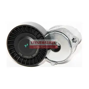 DT36241 DYNAMATRIX