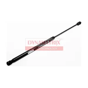DGS024295 DYNAMATRIX