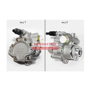 DYNAMATRIX DPSP056