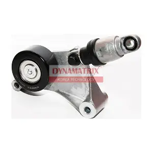 DYNAMATRIX DT61013