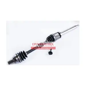 DDS218358 DYNAMATRIX