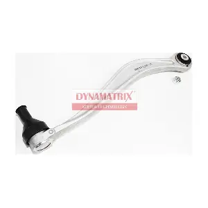 DS21877 DYNAMATRIX