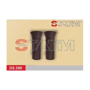 DS.290 STATIM