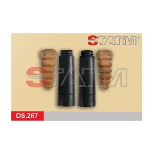DS.287 STATIM
