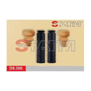 STATIM DS.308