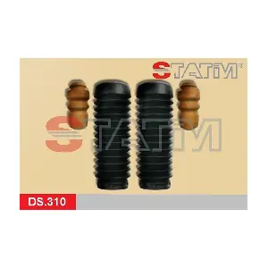 DS.310 STATIM