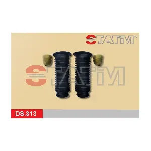 DS.313 STATIM