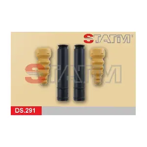 DS.291 STATIM