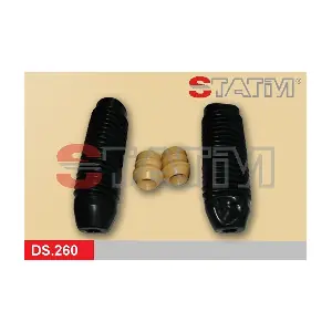 DS.260 STATIM
