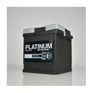PLATINUM 202E