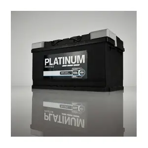 PLATINUM 110E