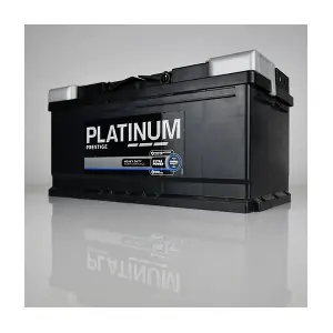 PLATINUM 017E