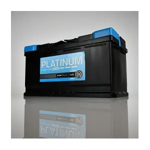 60501 PLATINUM