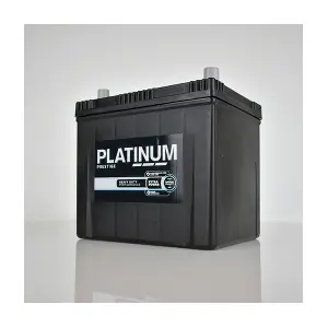 PLATINUM 005LE