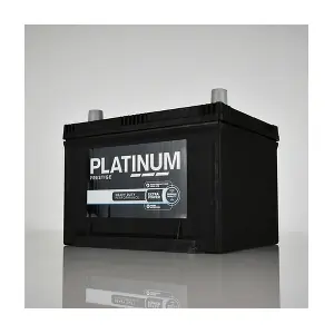 56017 PLATINUM