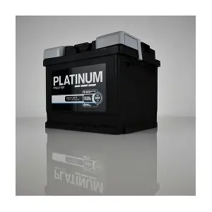 PLATINUM 065E