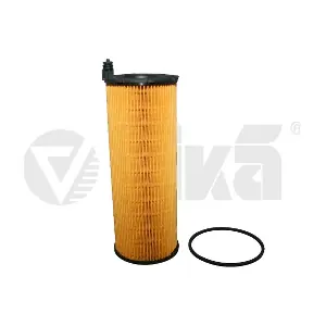 11150060101 vika