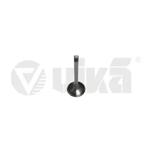 11090175401 vika