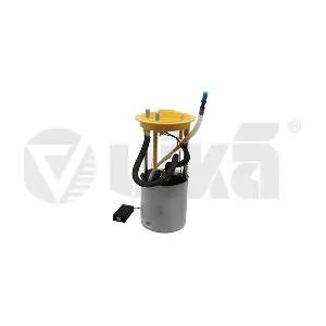 vika 99191791001