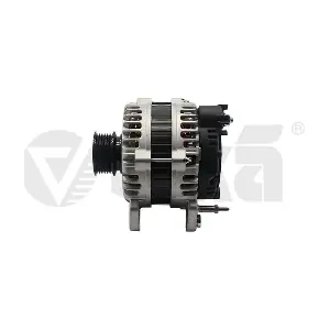 vika 99031224001