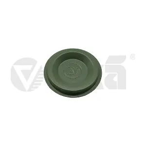 31410021401 vika