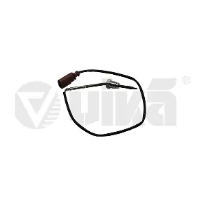 99061788101 vika