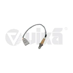 vika 99061829901