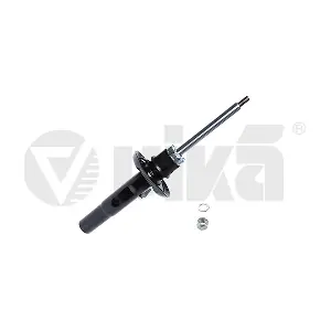 44131619301 vika