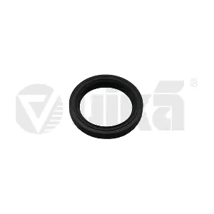 016409399B VIKA
