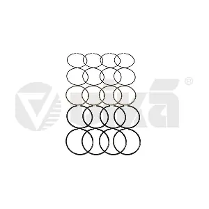 026198151D VAG