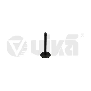 11090175501 vika