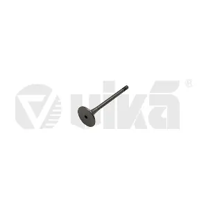 11090724501 vika