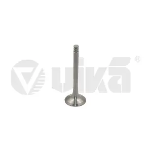 vika 11090212901