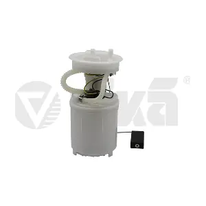 19190049601 vika
